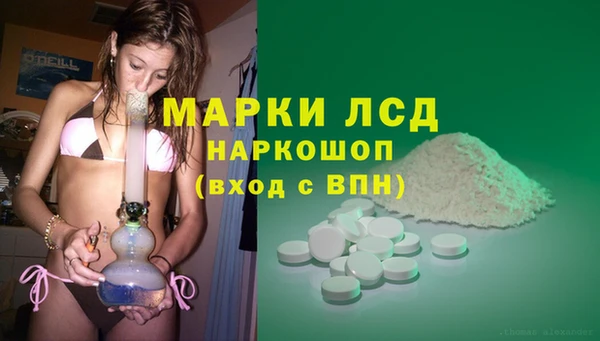 трава Арсеньев
