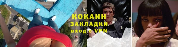 трава Арсеньев