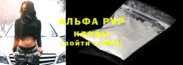 сатива Армянск