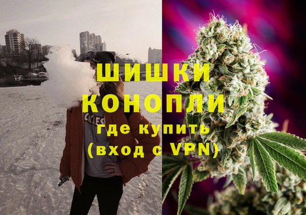 сатива Армянск