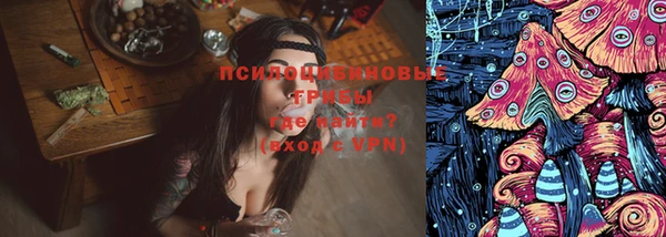 трава Арсеньев