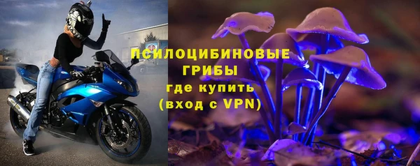мяу мяу мука Баксан