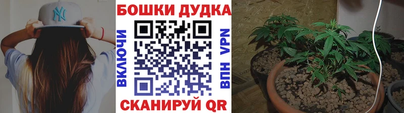 Каннабис индика  продажа наркотиков  Россошь 